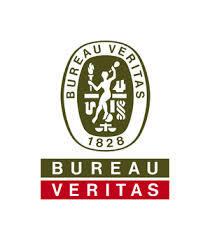 Logo 6